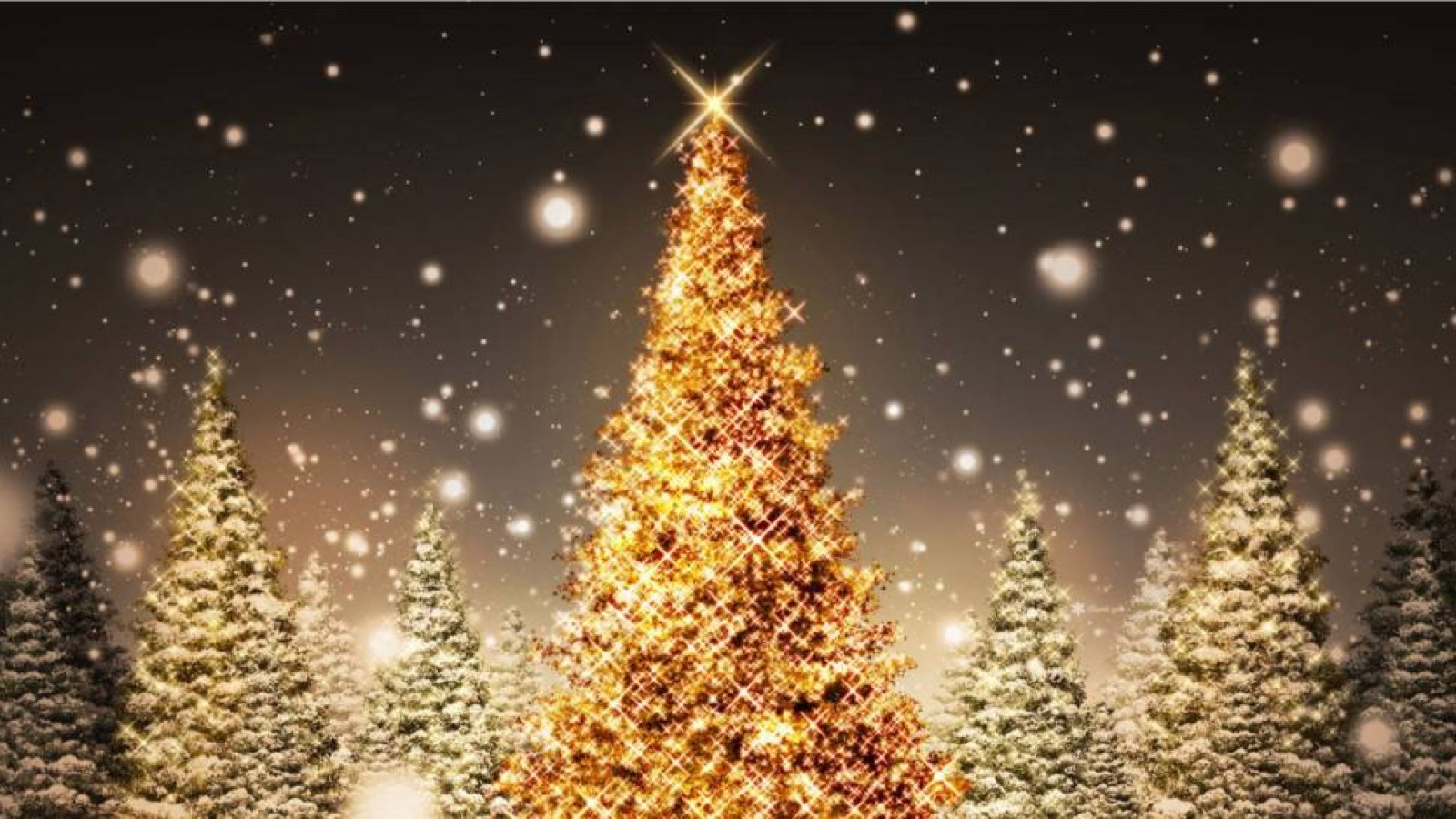 Шымкенттік шенділер жаңа жылдық безендіруге 76 миллион теңге жұмсауға дайын.