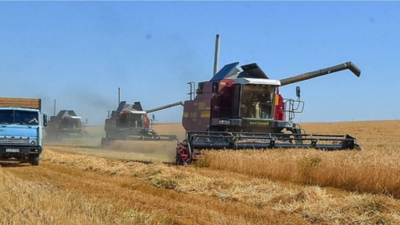 Ауыл шаруашылығы министрлігі талан-тараж болған субсидия туралы айтты.