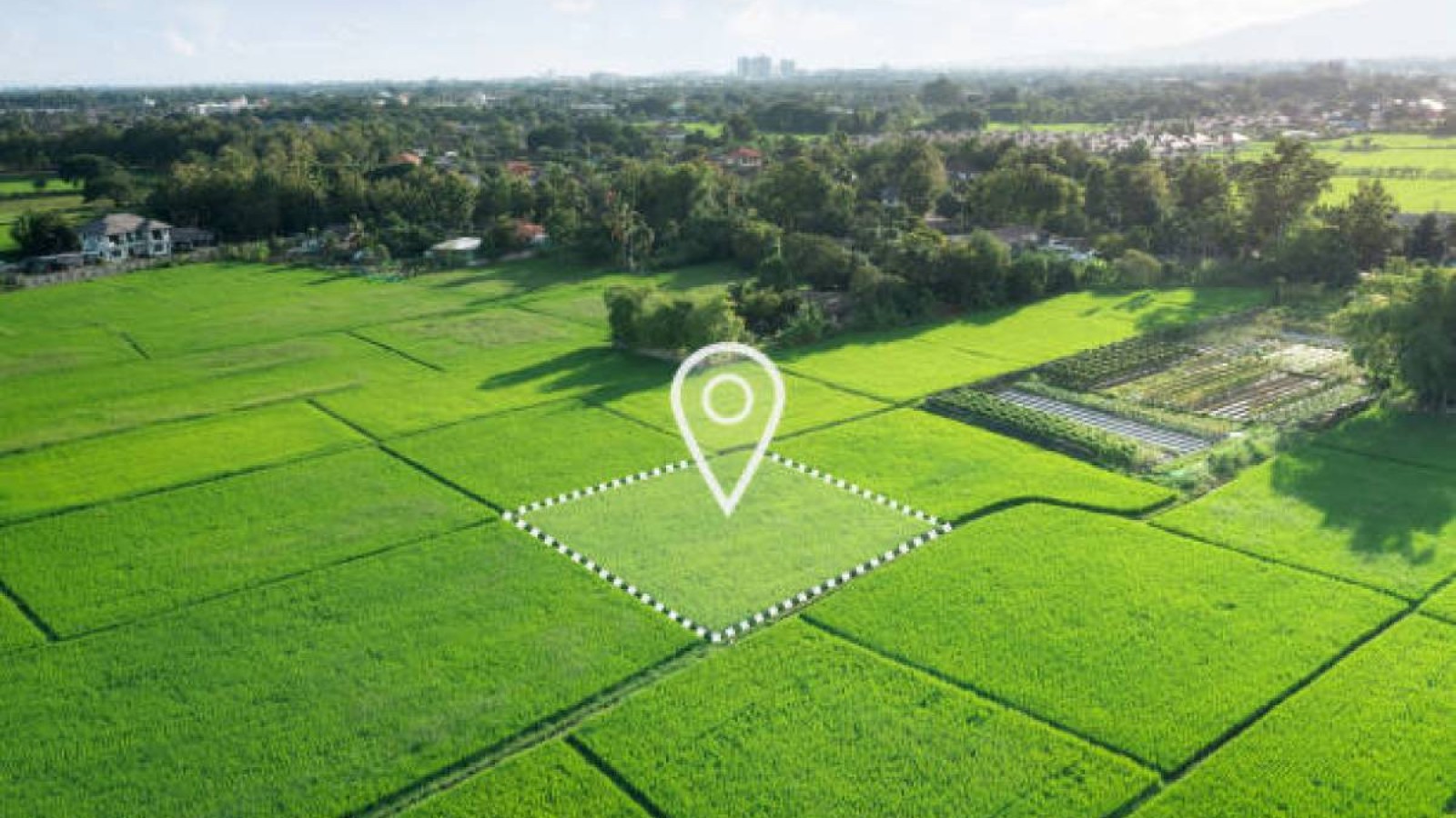 БҚО-да жер учаскелері заңсыз төмендетілген бағада сатылған.