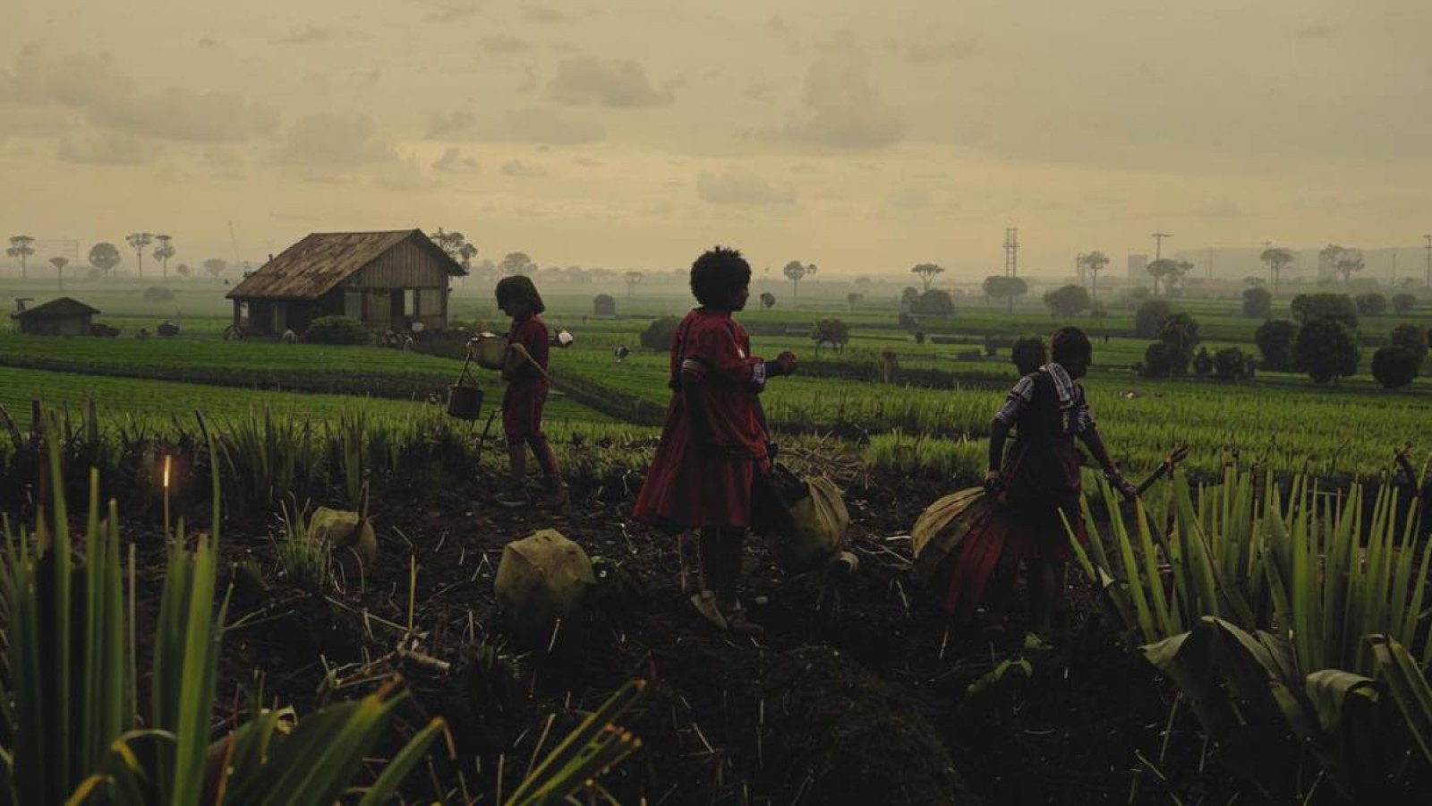 Ұлытауда балаларды патронатқа алып жұмысқа жеккен шаруа иесі сотталды.