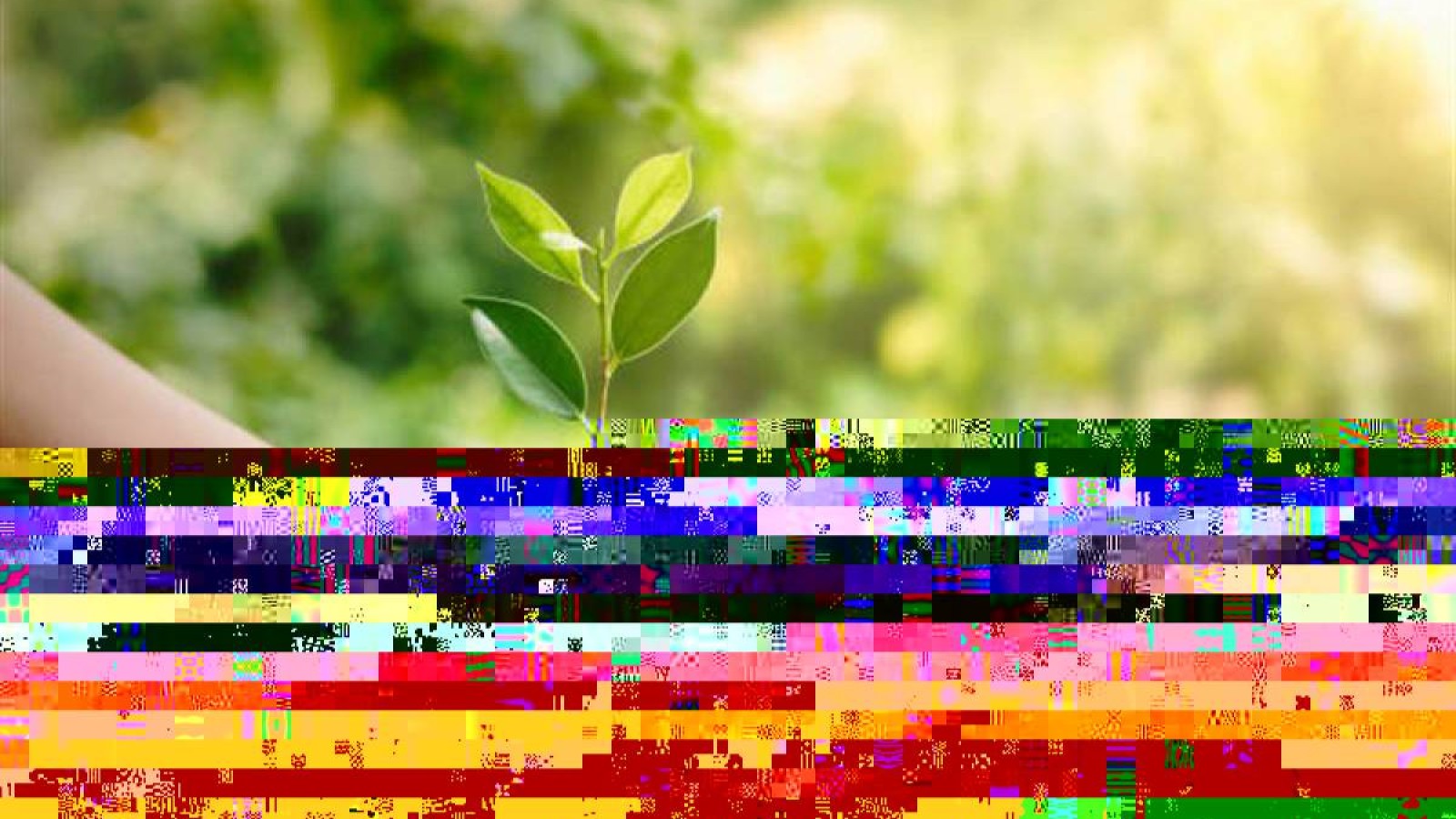 Ақтөбеде табиғатты ластаған кәсіпорынға 2,9 млрд теңгеге айыппұл салынды.