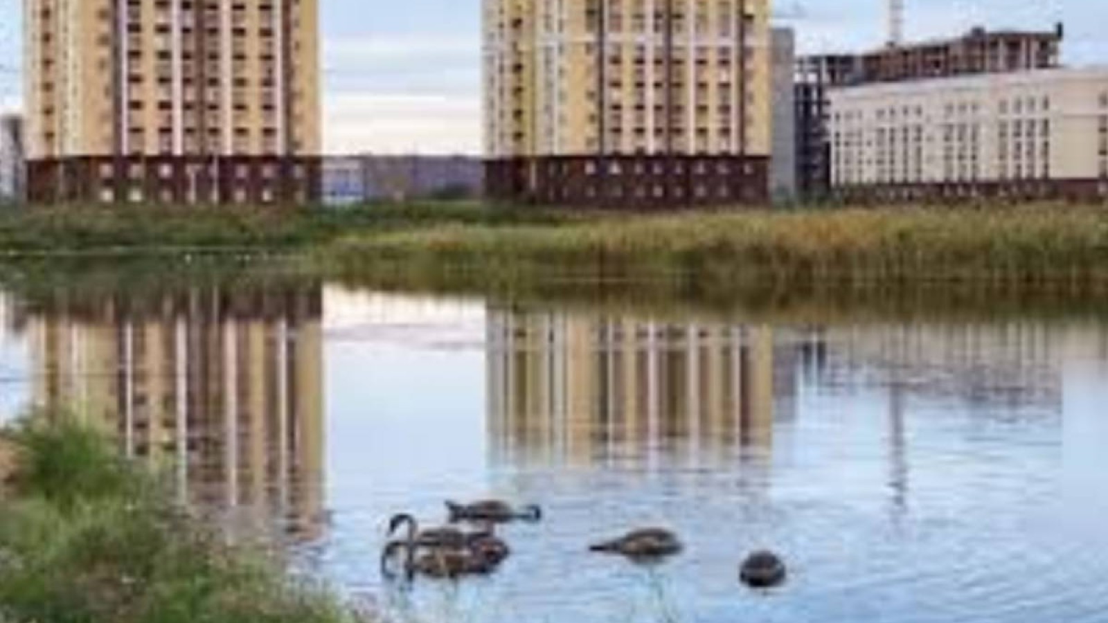 «Иіс, маса болмайды»: Кіші Талдыкөлдегі тіршілік жандана түседі.