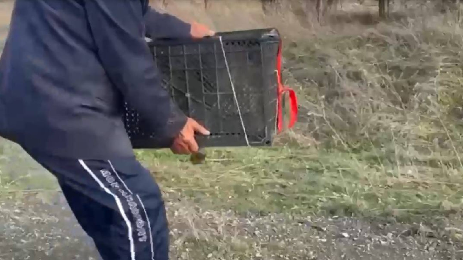 Шымкентте арыстан абданын сатпақ болған азамат ұсталды.