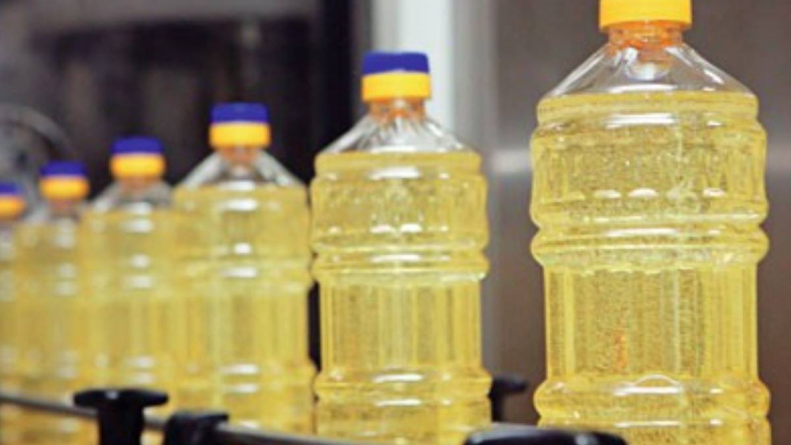 Елімізде күнбағыс майы бір жылда 60 пайызға қымбаттады.