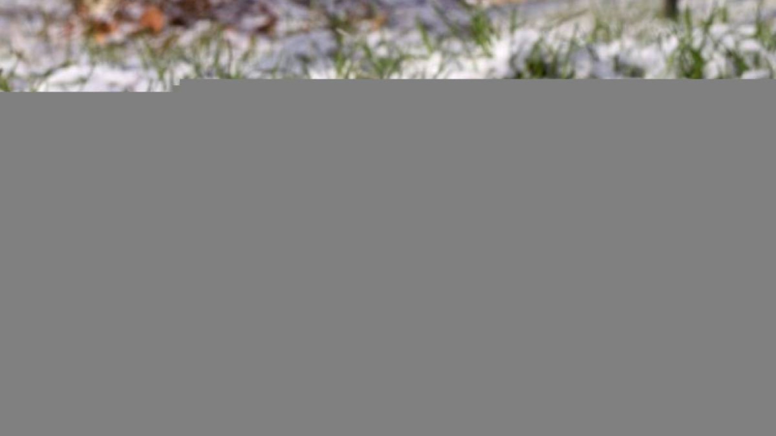 Қазақстанның кей жерінде қар жауып, күн суытады.