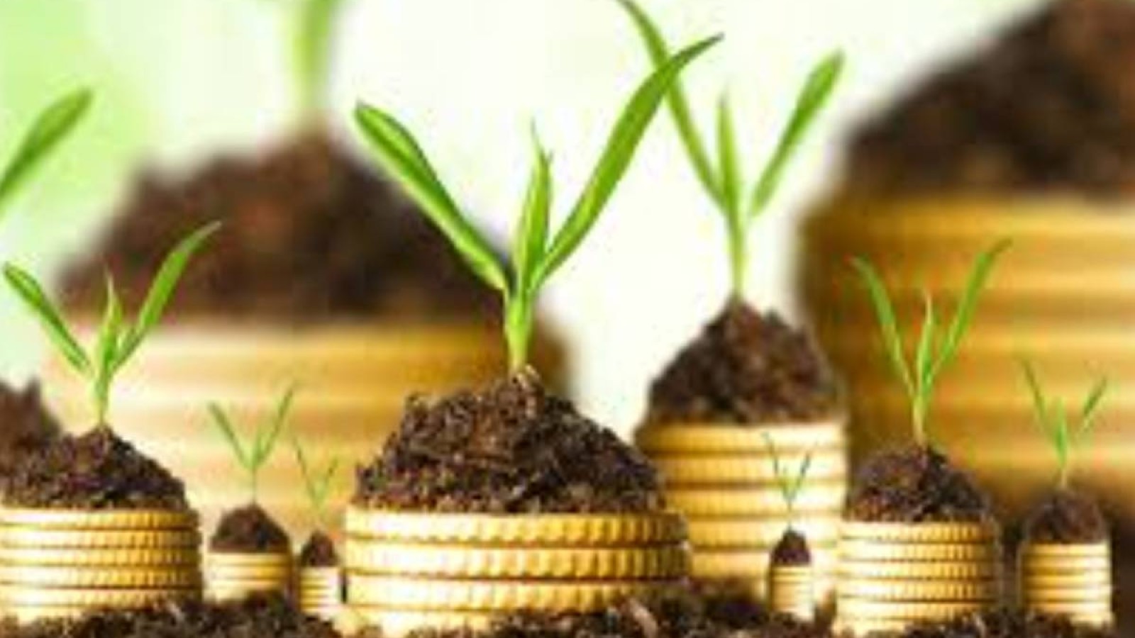 Тоқаев елдегі экологияны қалыпқа келтіру жолын айтты.