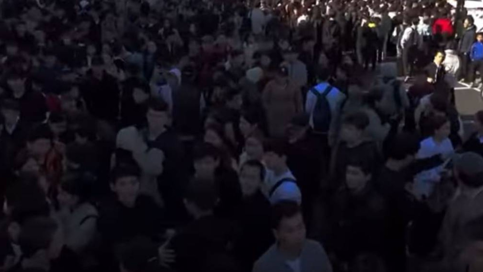 Астанада тегін донер таратылады деген жарнамаға 4 мың адам жиналған.