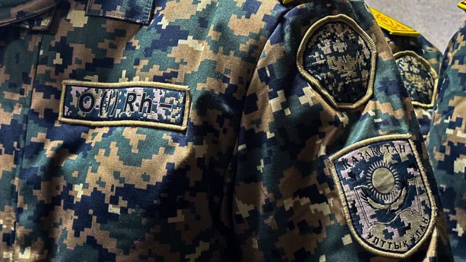 Пойызда сарбазды ұрғандар анықталды.