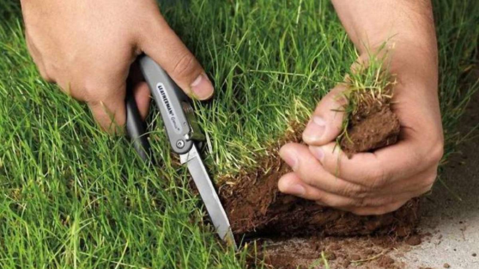 Президент жерді сатуға тыйым салатын заңға қол қояды.