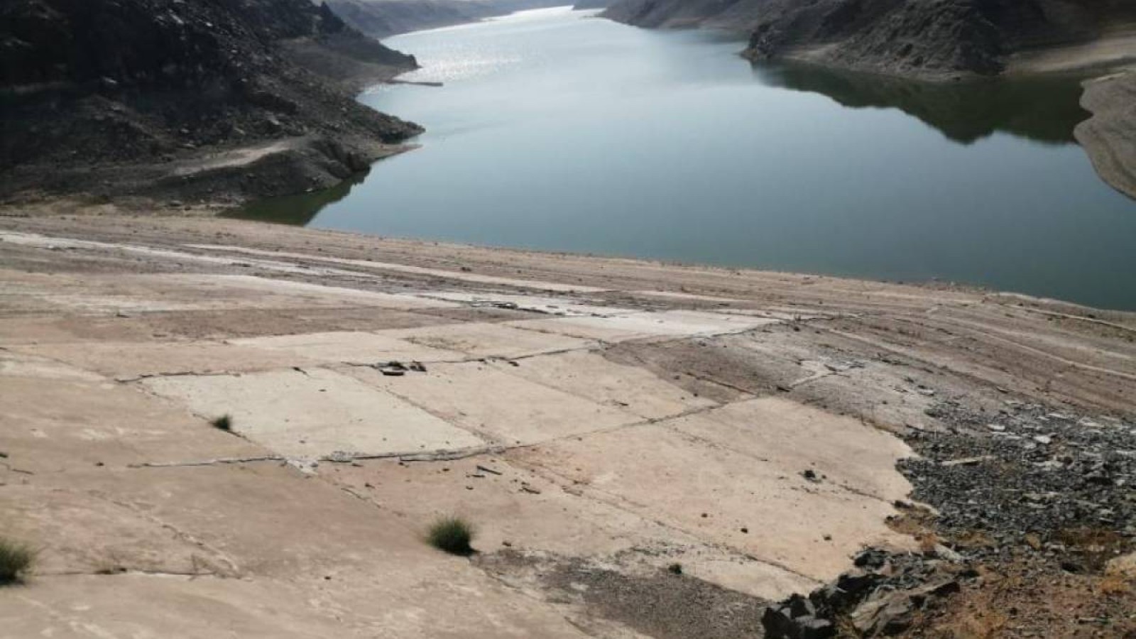 Бартоғай су қоймасында үш күнде су деңгейі 1,5 метрге көтерілді.