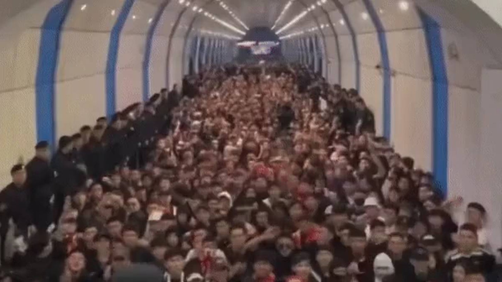 Алматыда футбол жанкүйерлері жауапқа тартылды.