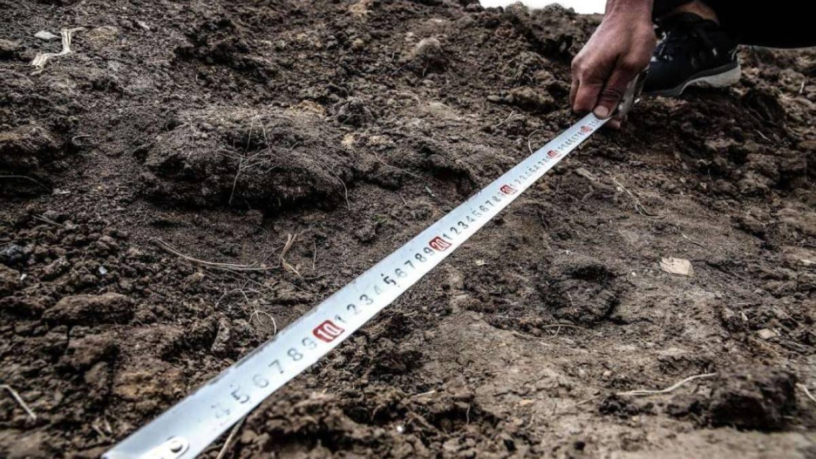 Жамбыл облысында 4,7 мың гектар жер мемлекетке қайтарылды.