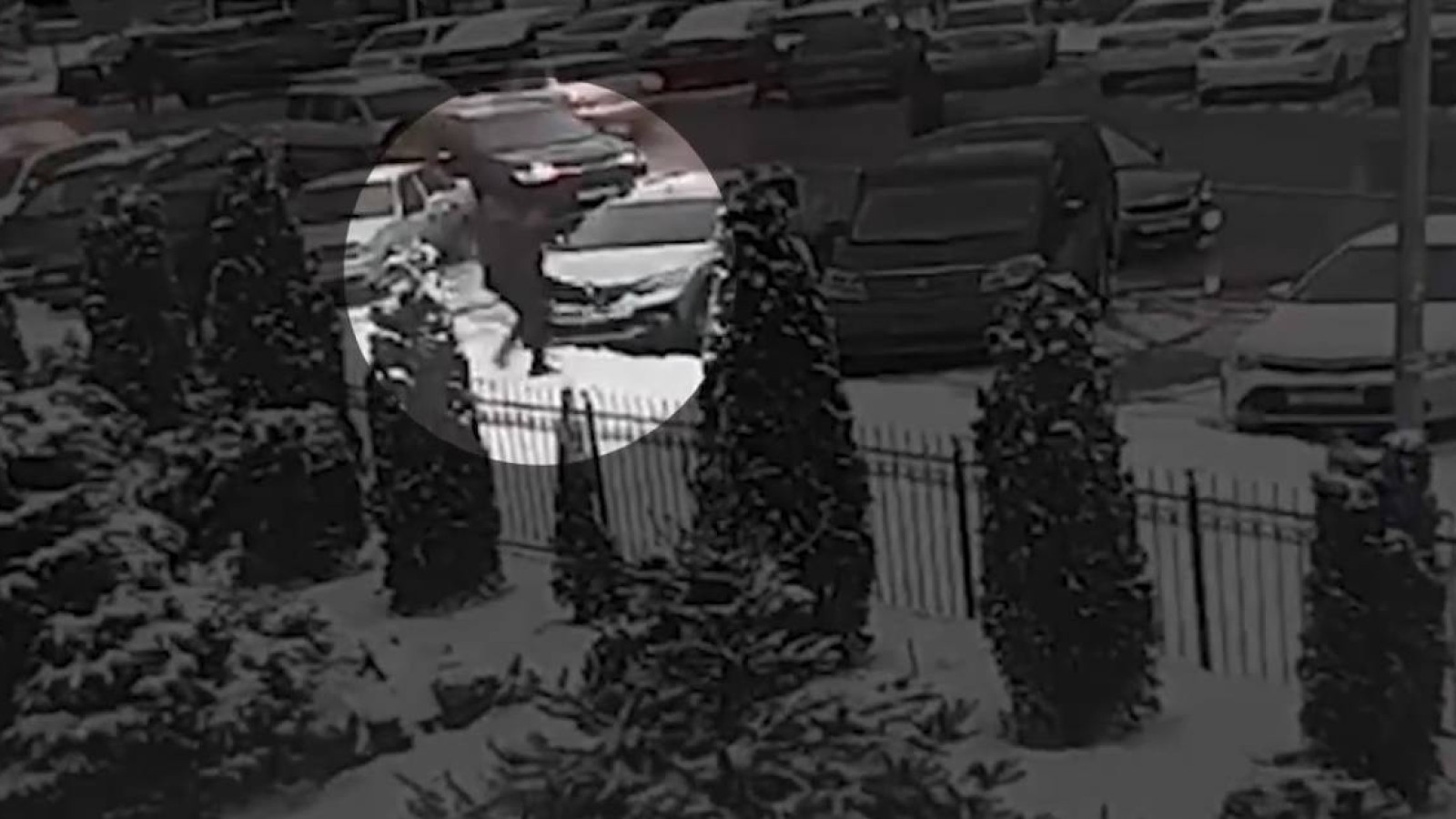 Қызды алып қашқан азамат сотталмады.