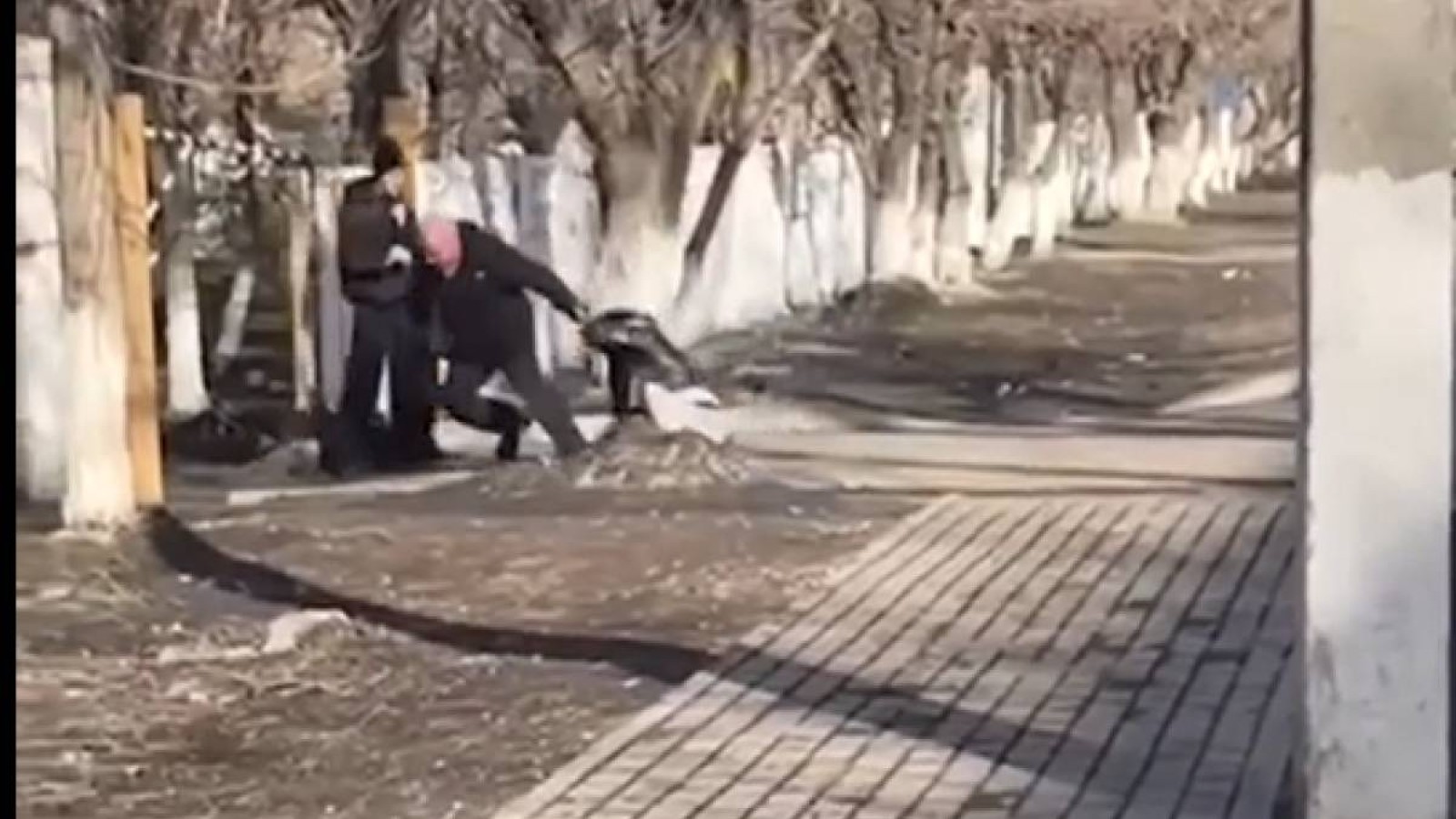 Әйелін шашынан сүйреп, соққыға шыққан адамды 15 күнге қамады (видео).