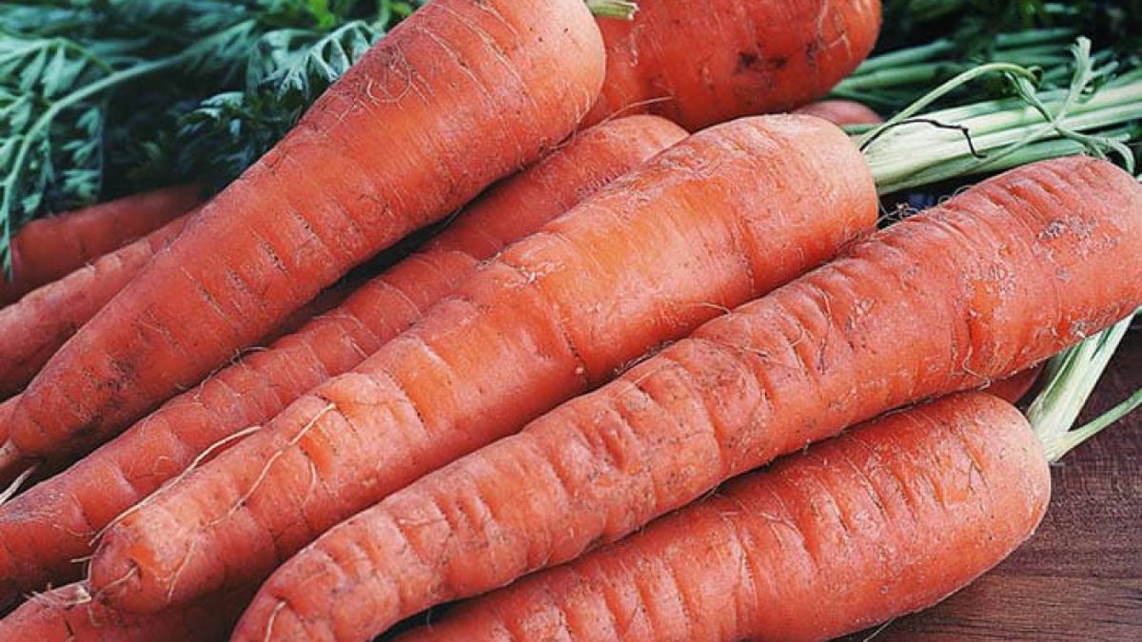 Шенеуніктер сәбіздің келісін 16 мың теңгеден сатып алмақ болған — Антикор.