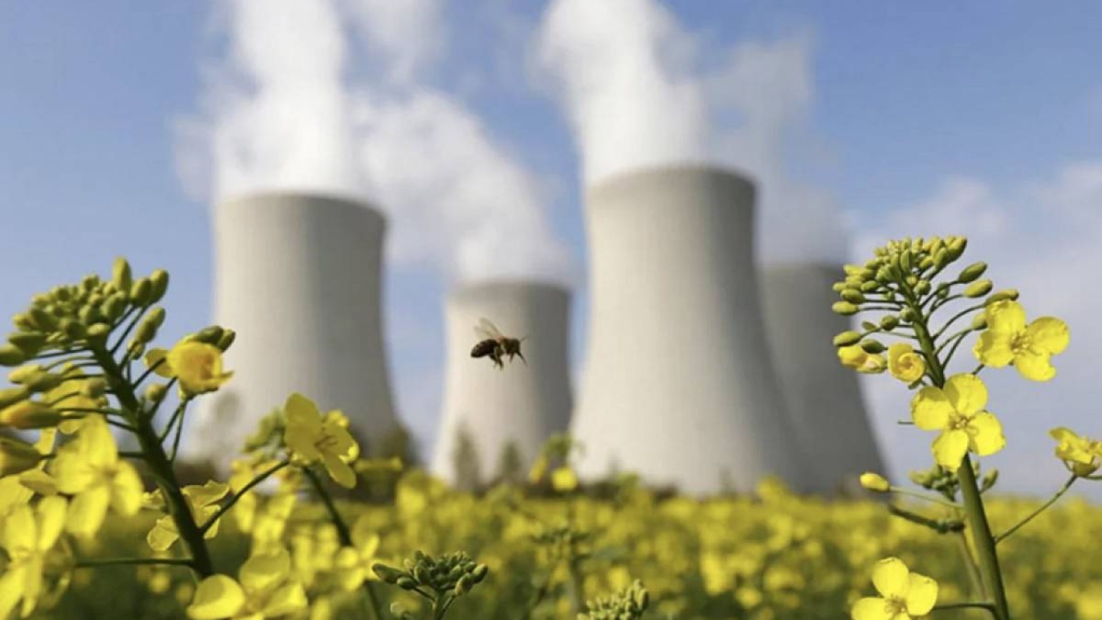 Президент АЭС бойынша референдум күзде өтетінін айтты.