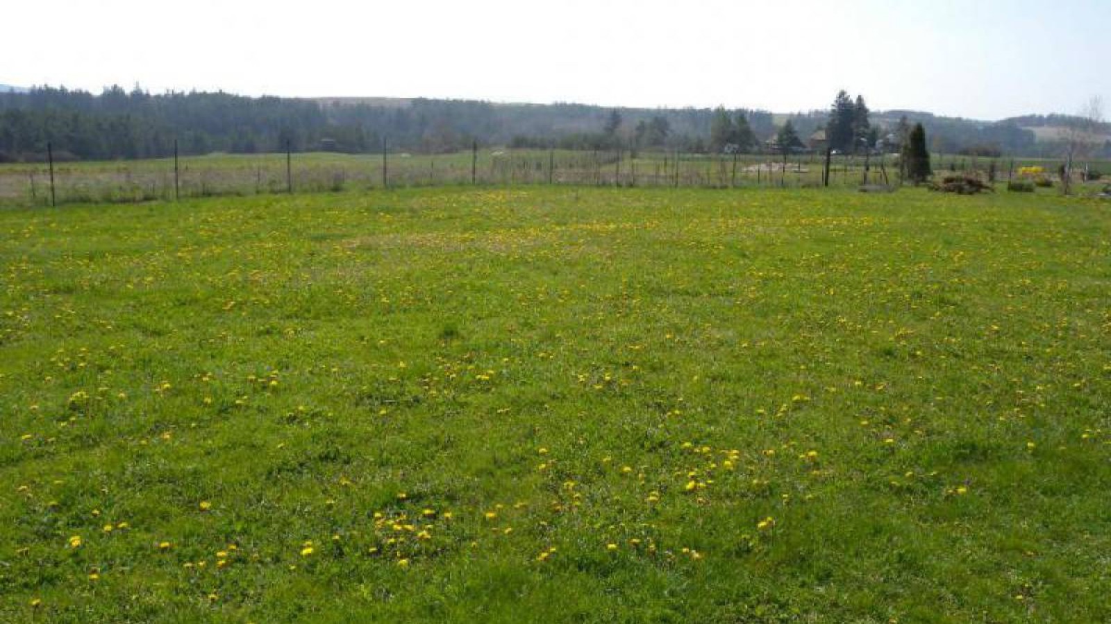 Павлодарда 2,4 млрд теңгегенің жері мемлекетке қайтарылды.