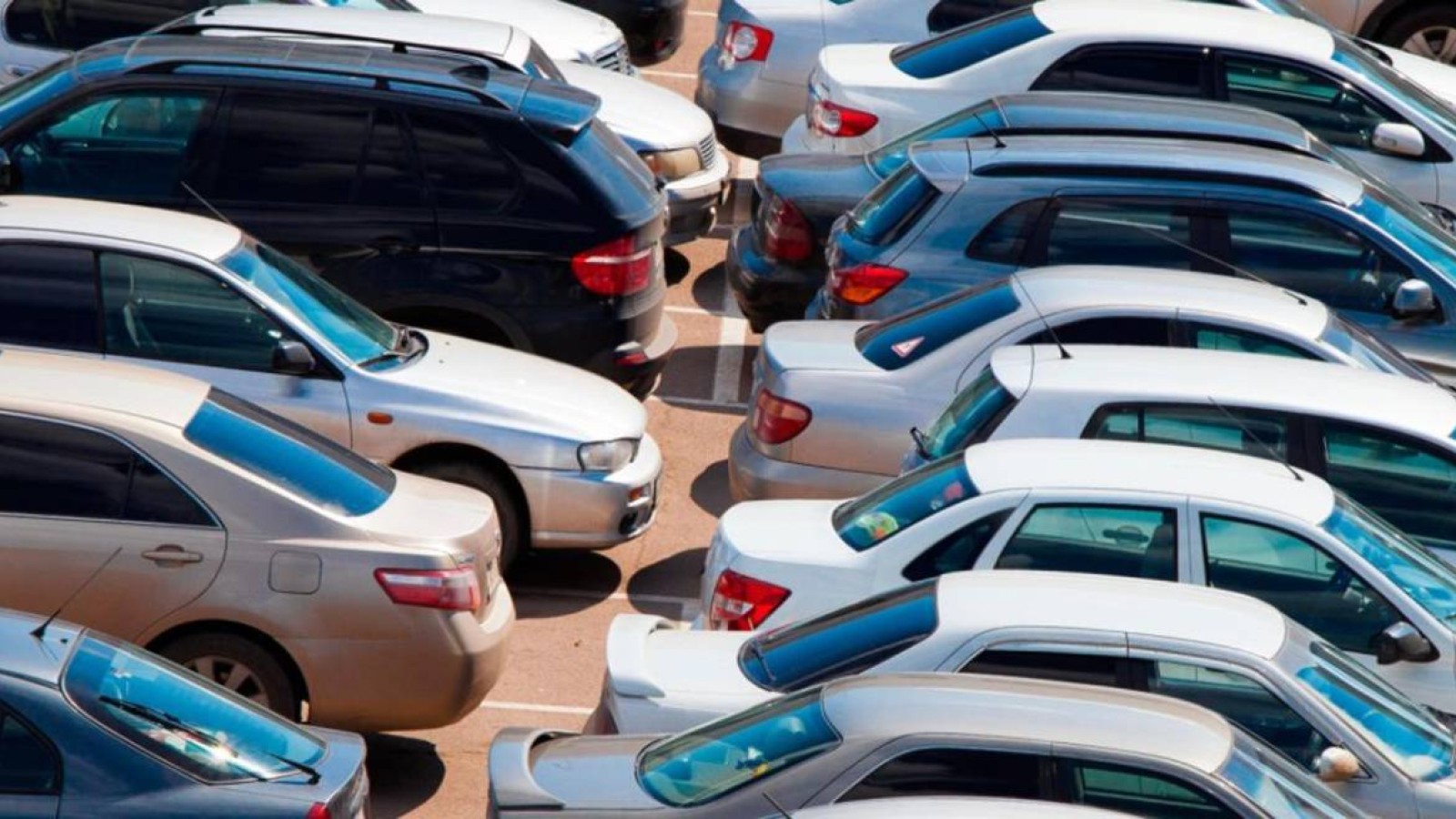 Жамбыл облысында мемлекет мүлкін жымқырған мекеме басшысы сотталды.