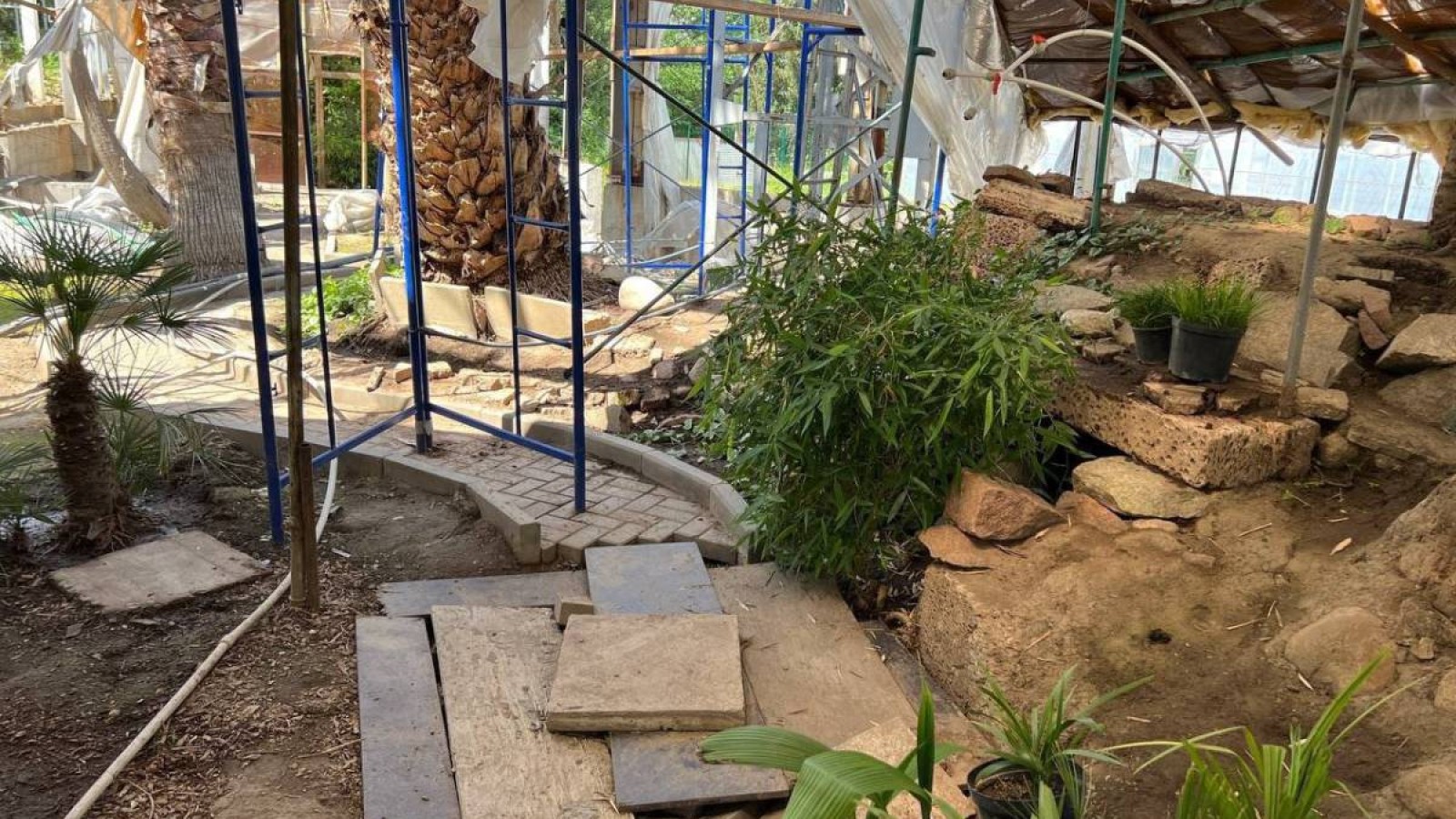 Алматының Ботаникалық бағында жүзден астам өсімдік өліп қалған.