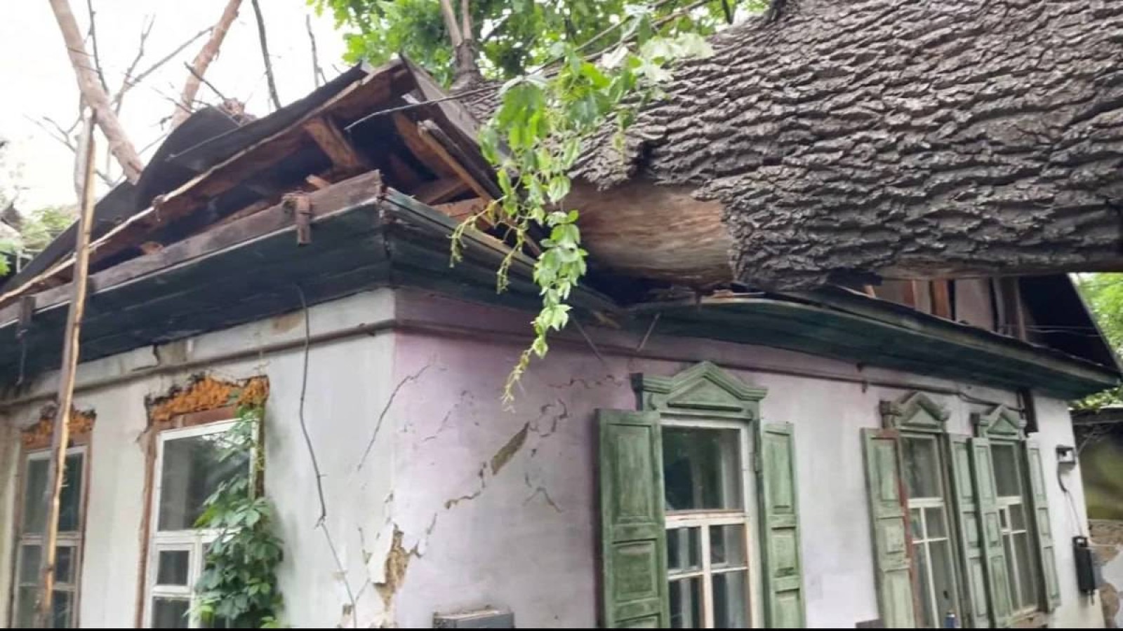 Салық төлемеген. «SCAT» авиакомпаниясына табысталған аңшылық алқап мемлекетке қайтарылды.