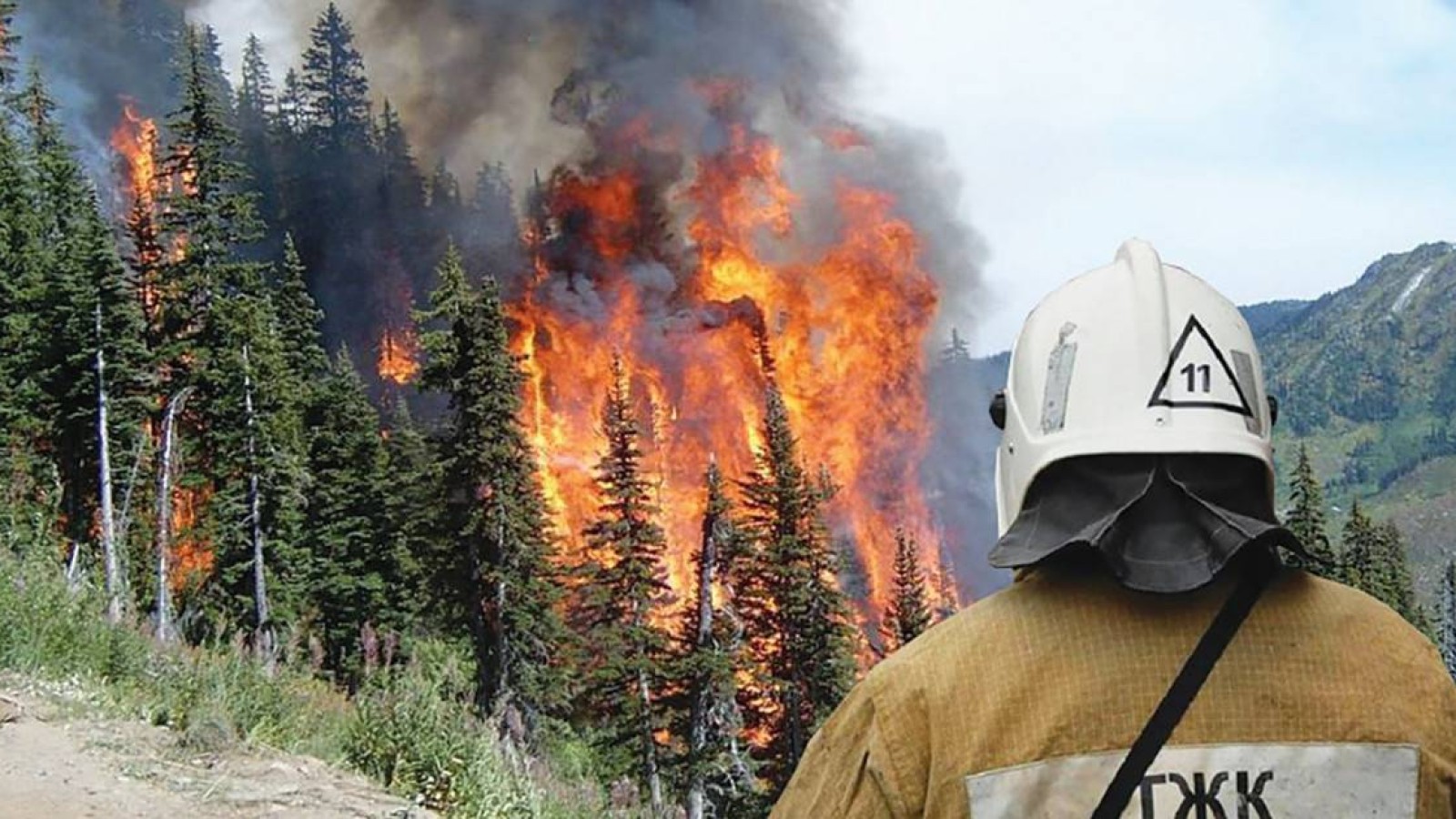 Қазақстан орман өртіне қарсы қандай шара қабылдап жатыр?.