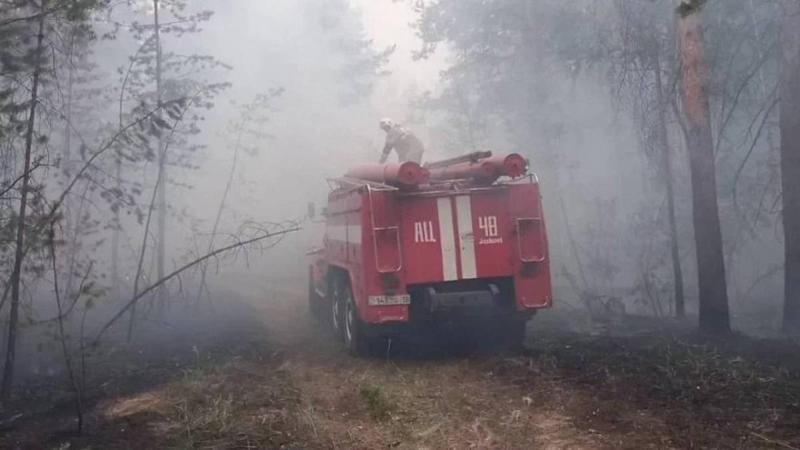 «Семей орманындағы» өрт: Резерват басшылығы сотталды.