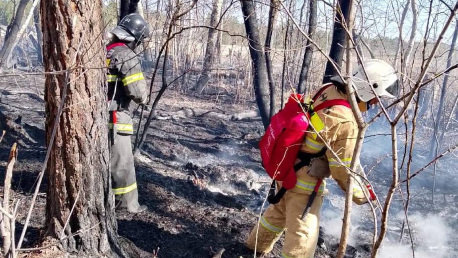 «Семей орманы» тағы да өртке оранды.