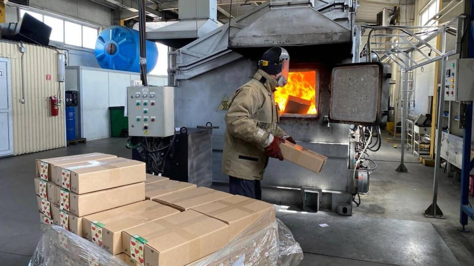 Ресейден әкелінген қызанақтан қауіпті вирус анықталды.