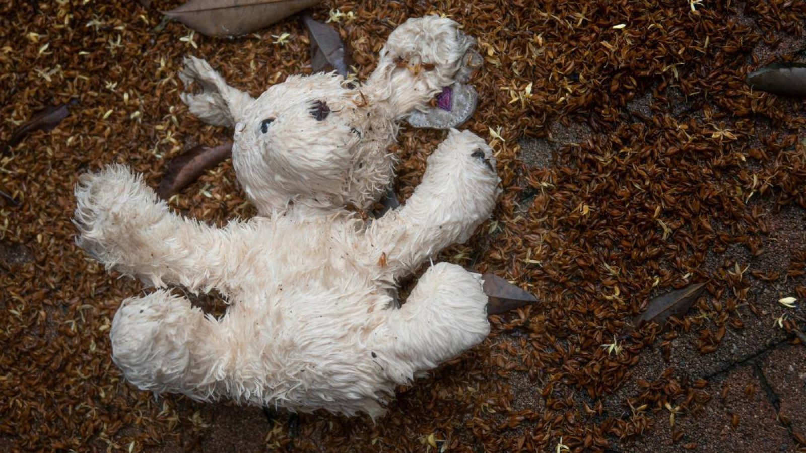 Балаларын өлтірген әйелге қатысты тың дерек шықты.