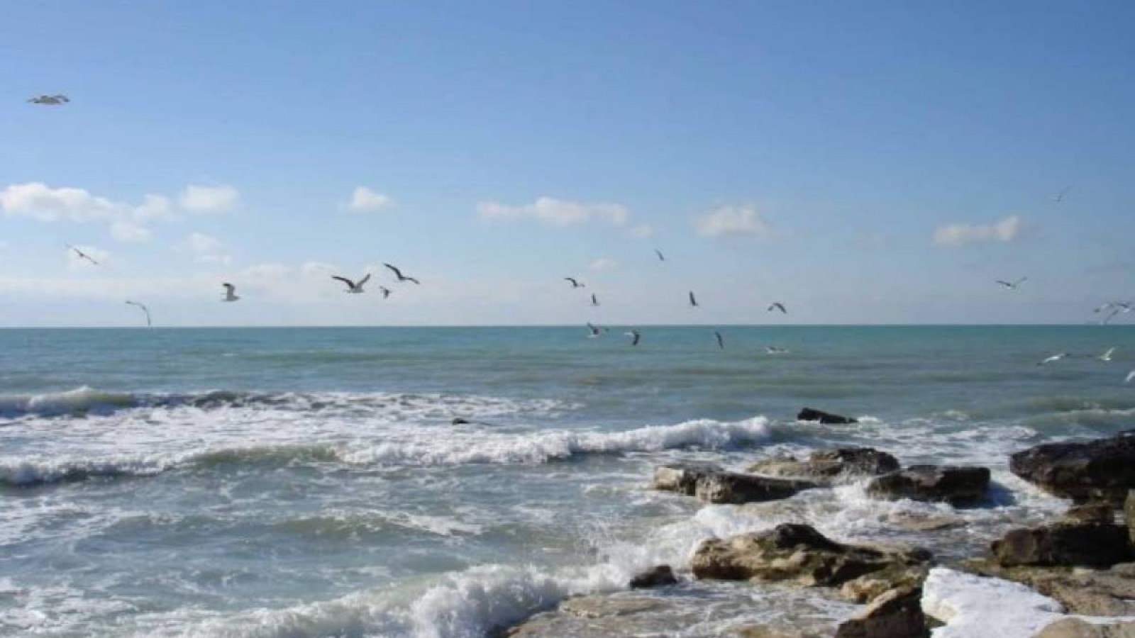 Маңғыстауда құны 1,1 млрд теңге болатын Каспий теңізі жағалауындағы жерлер мемлекетке қайтарылды.