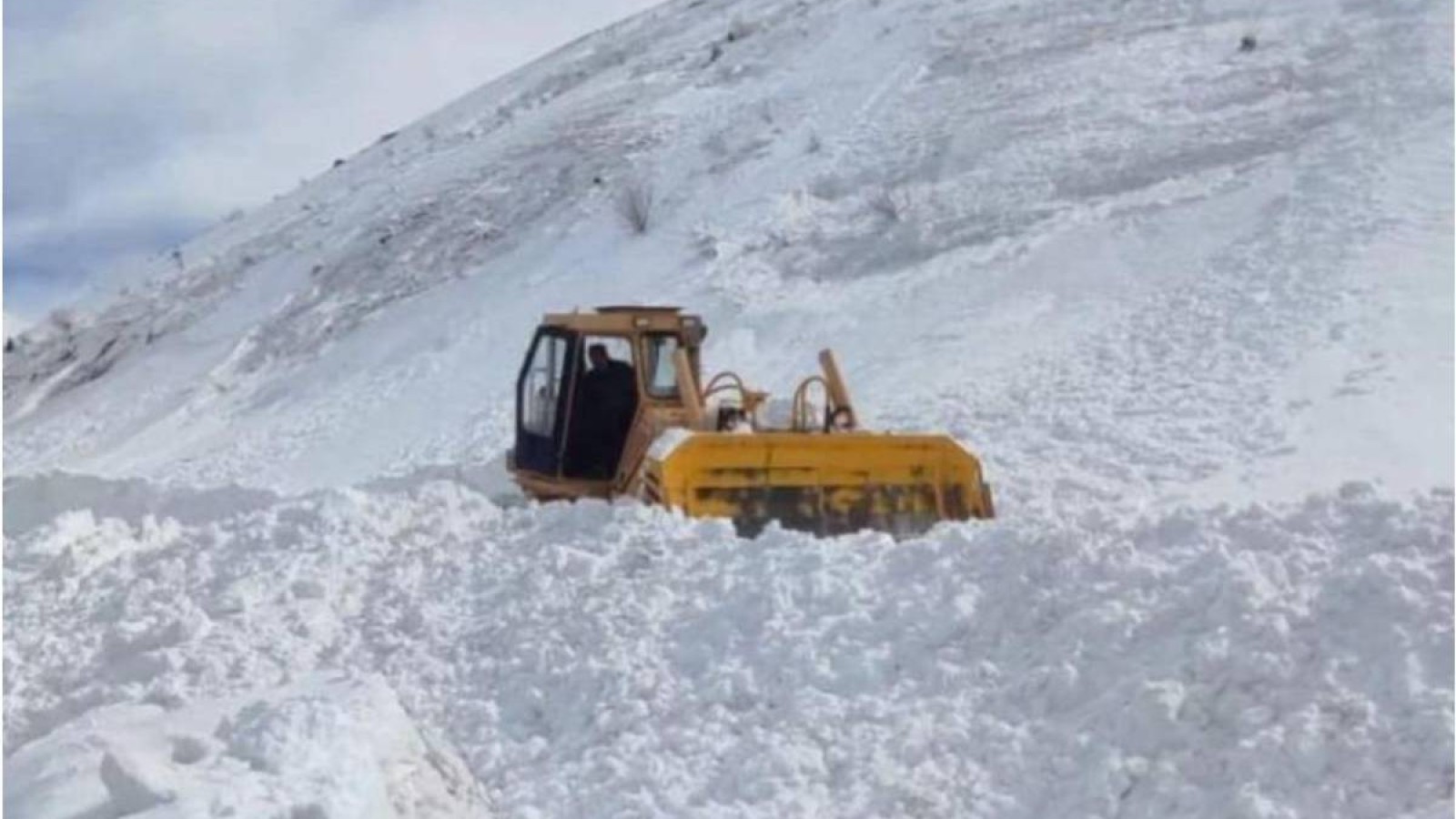 Алматы тауларында қар көшкіні жүрді.