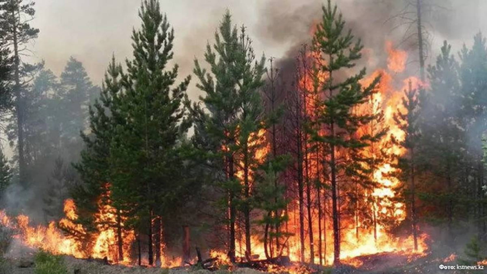 Қостанай облысындағы алапат өртке тракторшы кінәлі болып шықты.