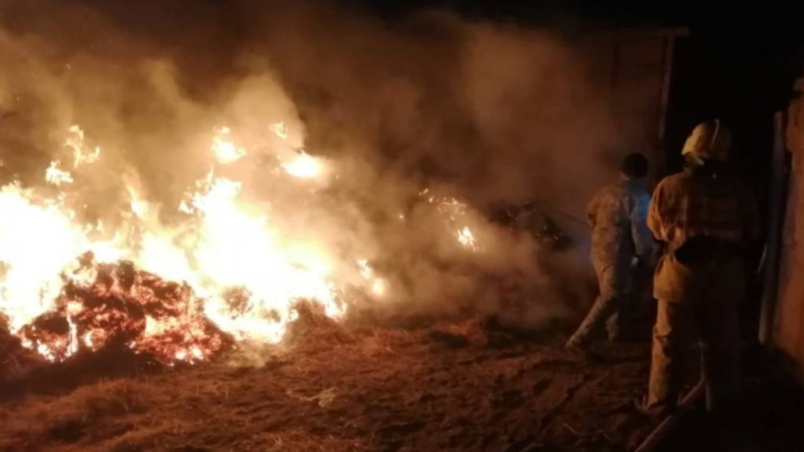 Атырауда үш жасөспірім өртенген шөппен бірге жанып кетті.