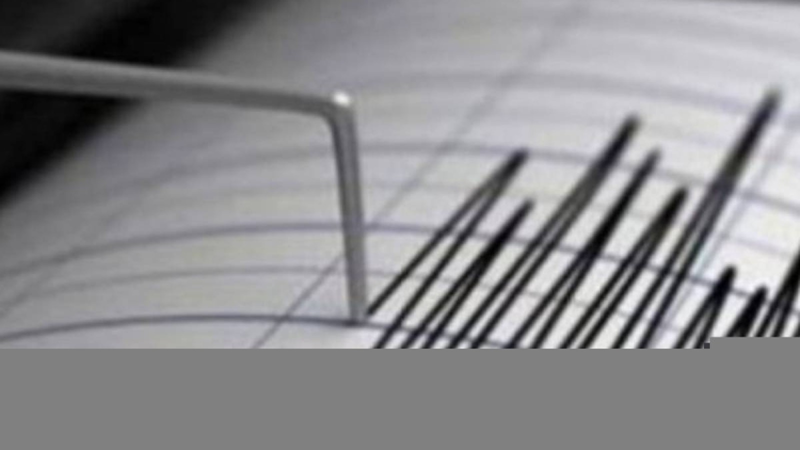 Алматыдан 280 шақырым қашықтықта жер сілкінісі тіркелді.