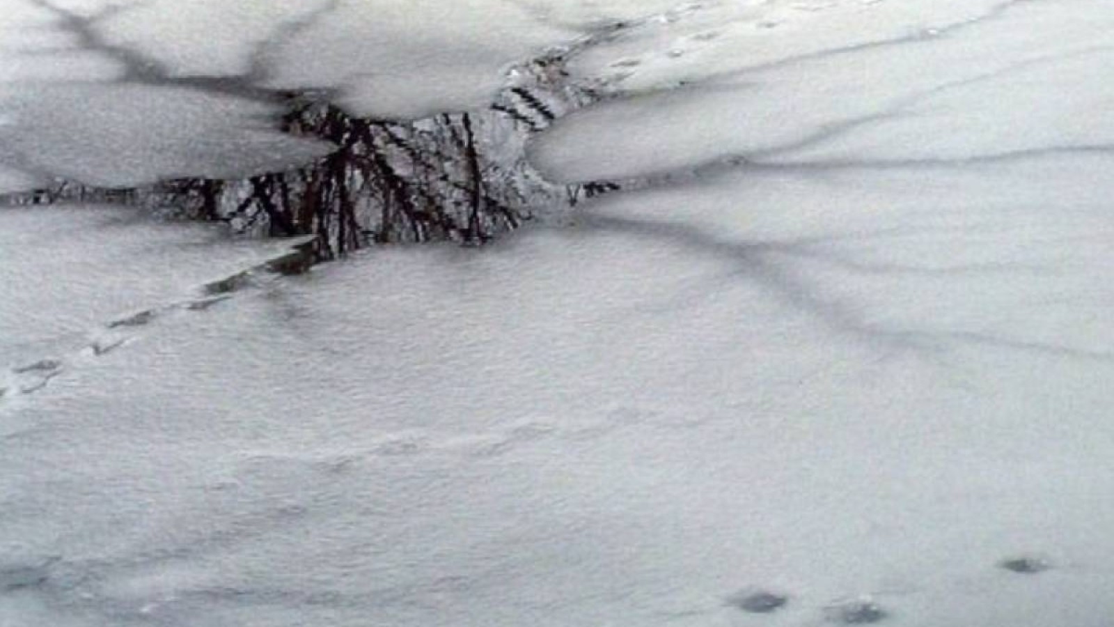 Қызылорда да мұз астына құлаған екі бала көз жұмды.