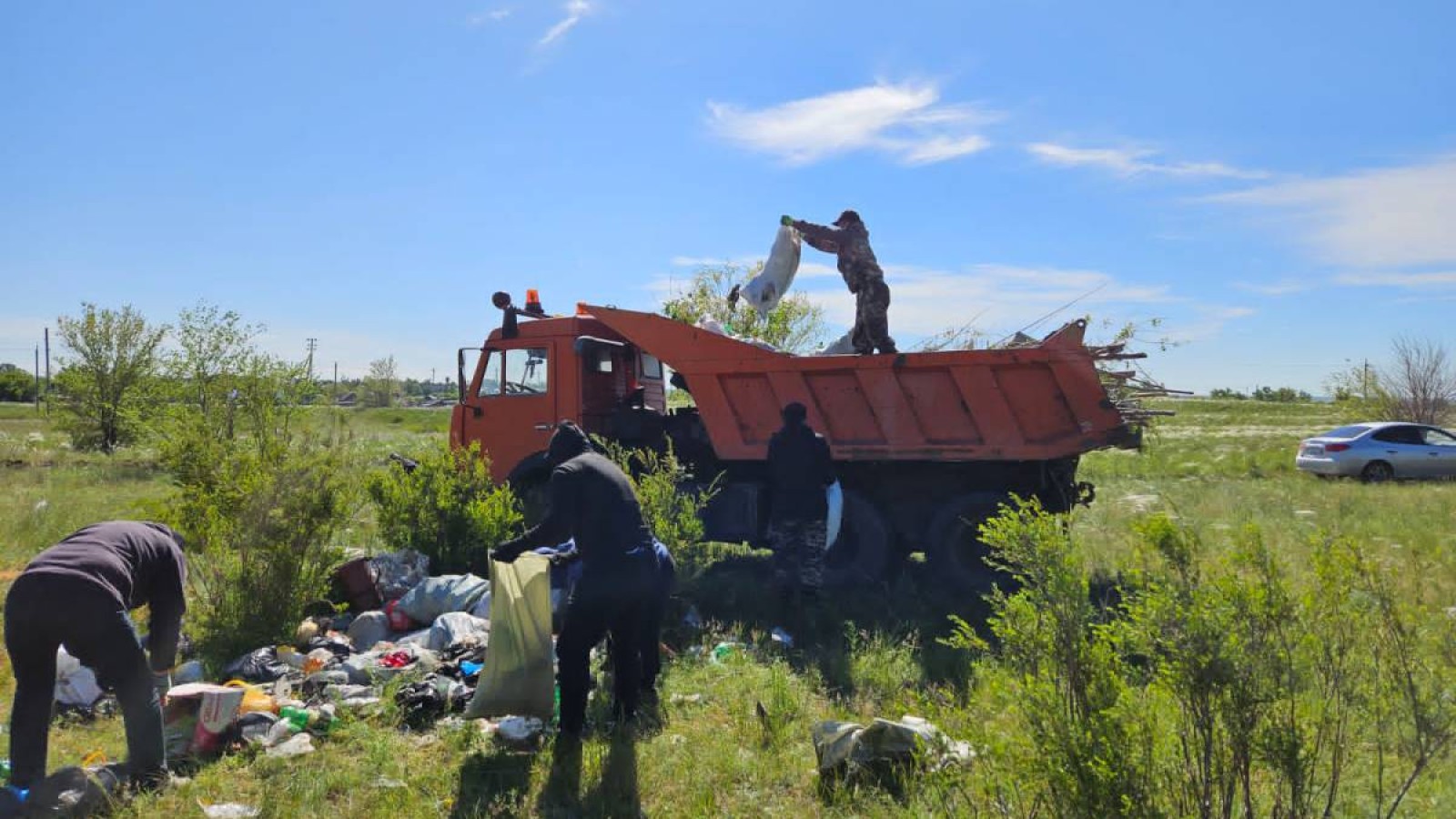 Әулиекөл ауданында орман-саябақ аймағы тазартылды.