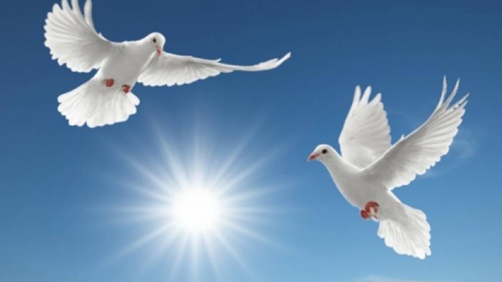 Бейбітшілік пен әділ қоғам-ең асыл құндылық.