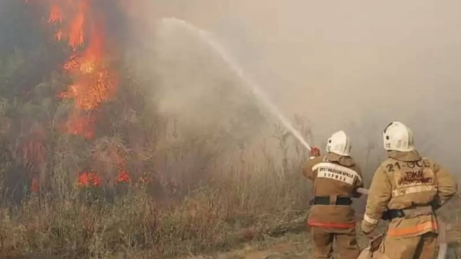 «Семей орманы» және тағы үш облыстың резерваты өртке дайын емес.