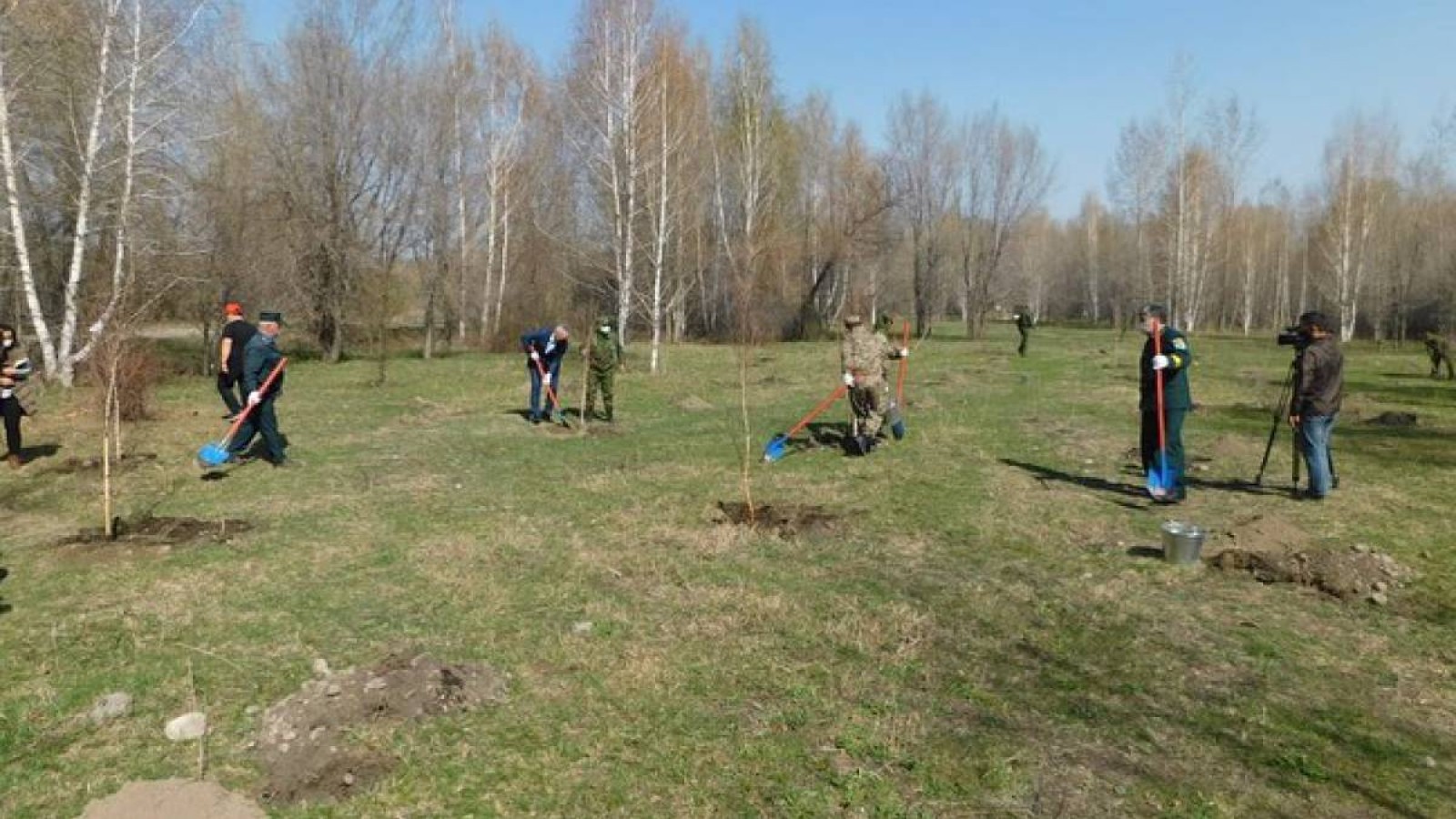 Қай өңірлерде орман аз отырғызылғаны белгілі болды.