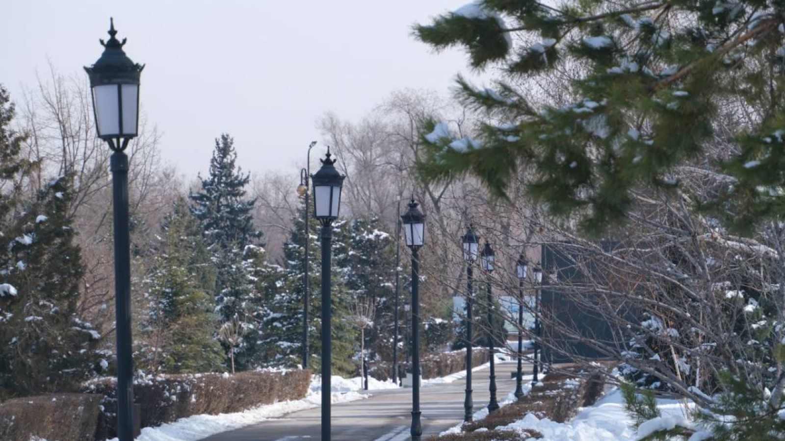 Алматыда көше шамдарын ұрлау  белең алып барады.