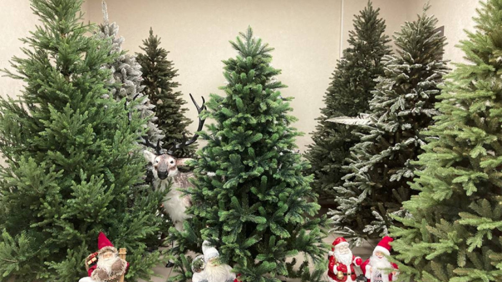 Балалар үйінің қызметкері жетім балаларға бөлінген шыршаны үйіне алып кеткен.