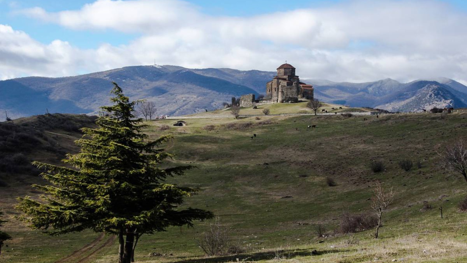 Грузиндер шетелдіктерге жер сатуға қарсы шықты.