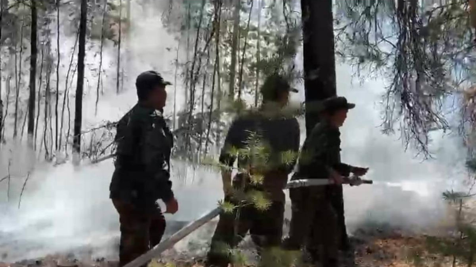 Абай облысындағы өртті сөндіру бойынша ақпарат.