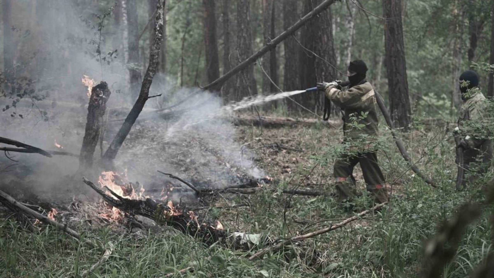 Абай облысындағы өртті қасақана қойған ба?.