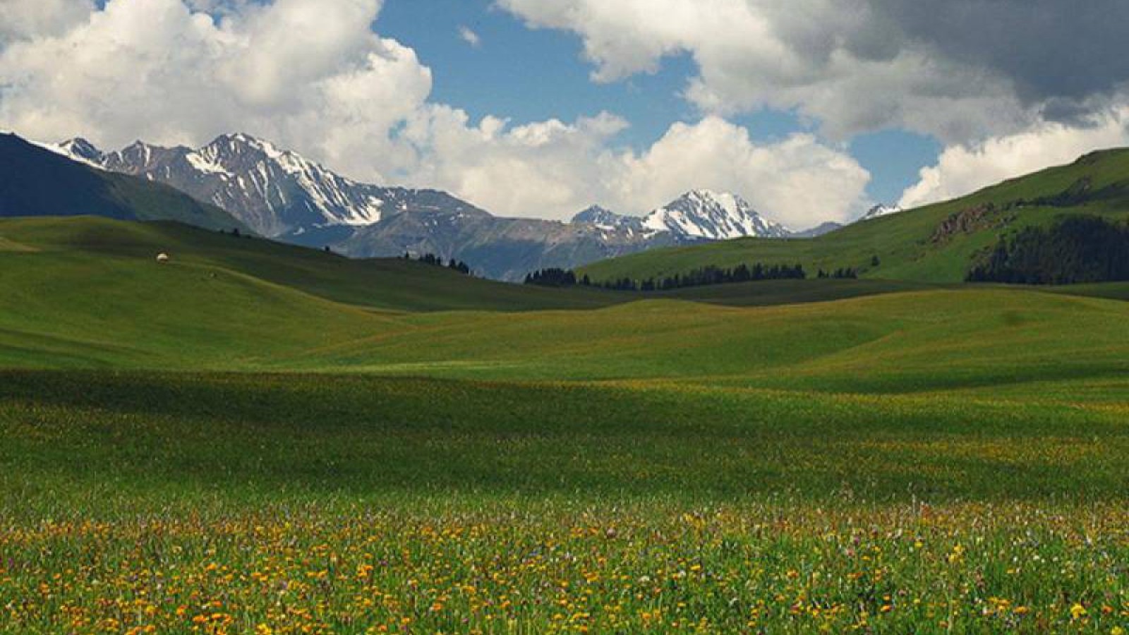 Қытайға жер сатыла ма?.