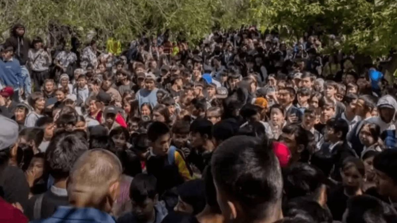 Тегін донер таратқан кәсіпкердің басы бәлеге қалды.