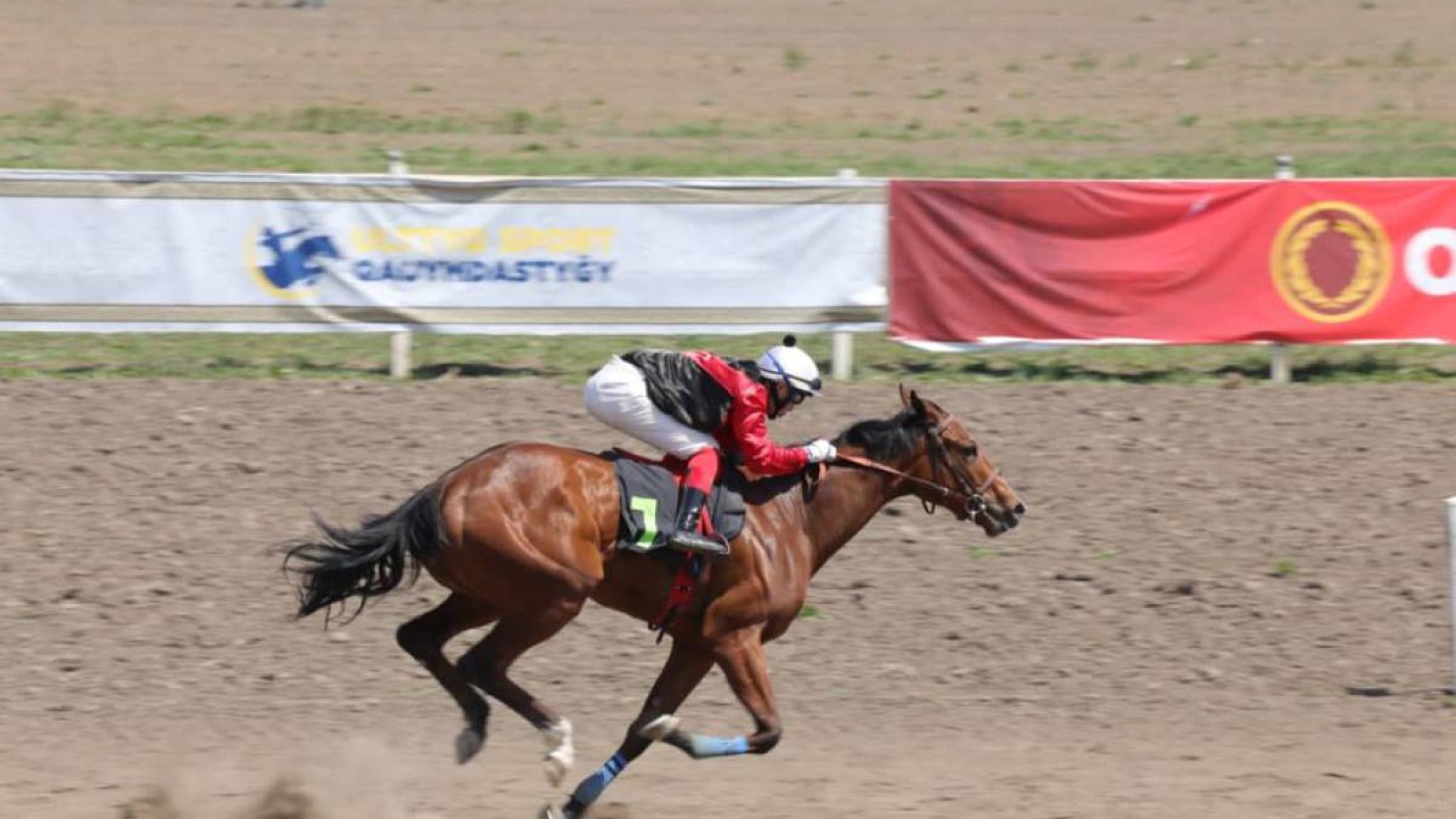 Алматы облысында ұшқыр бәйгеден QAZAQ WORLD CUP турнирі бастау алды.