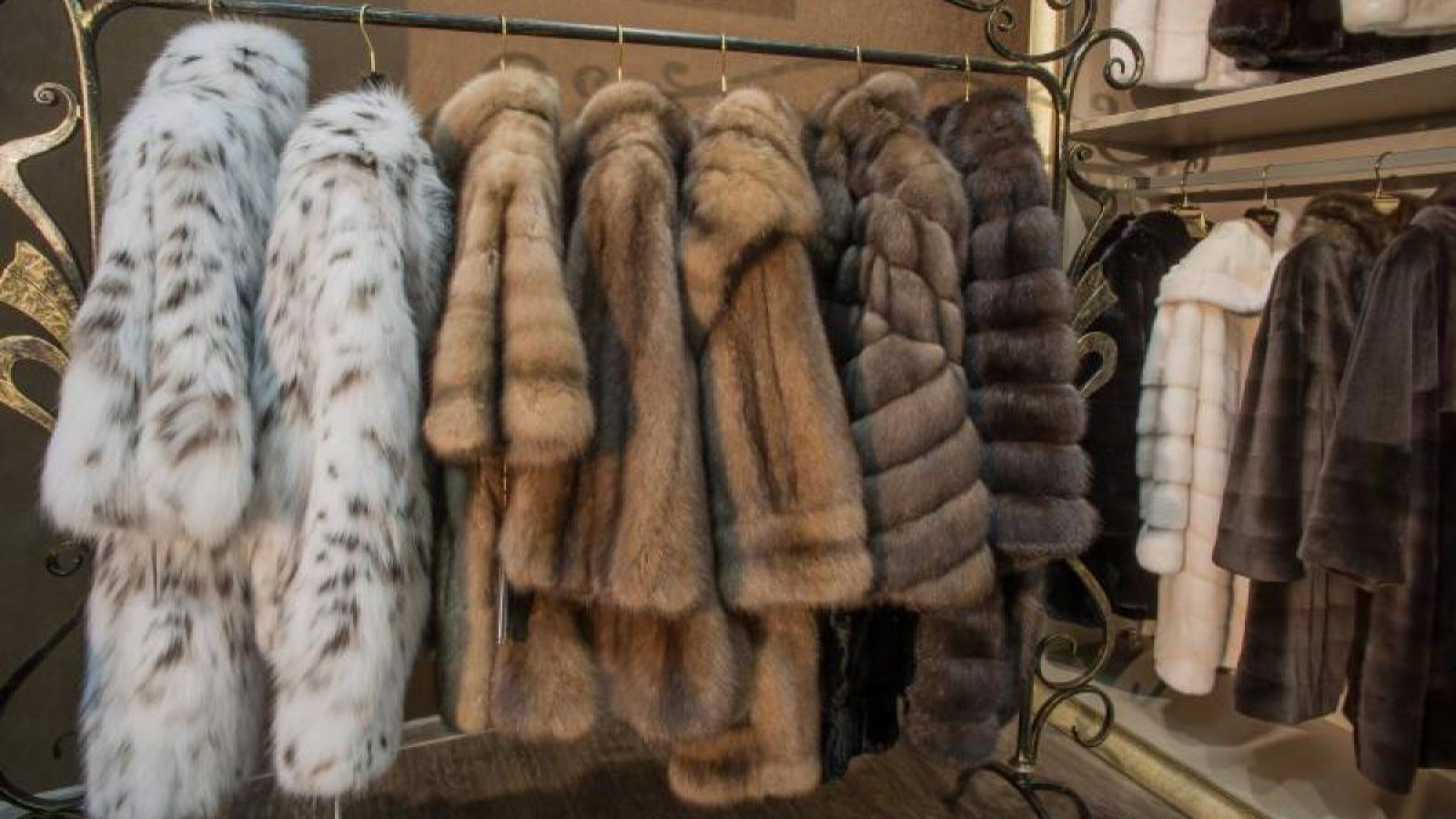 Тон сатып алу арқылы сіз жануарлардың өліміне себепкер боласыз.