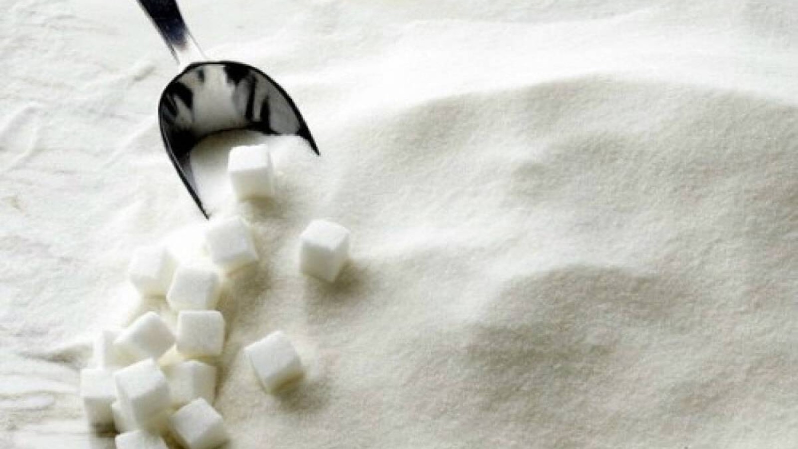 Мемлекеттің 12 млрд теңге қаржысына қайта жөнделген Ақсу қант зауыты тоқтап тұр.