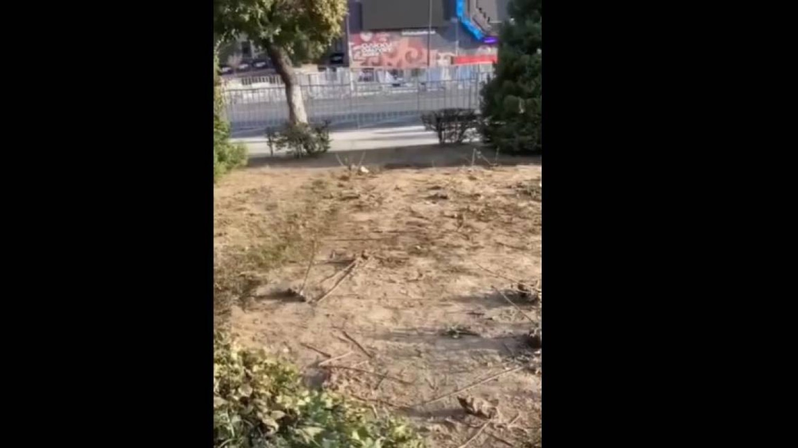 Алматыдағы концерт кезінде 94 мың түп гүл талқандалды.